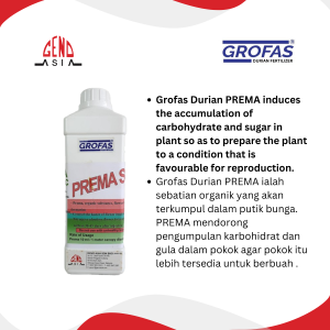 Grofas Durian Prema (2)
