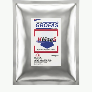 Grofas KMagS
